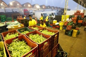 Veja o funcionamento dos órgãos e parques estaduais no feriadão