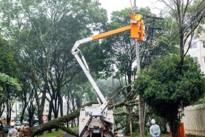 Após ventania, Copel recupera energia de 84% do Paraná; sanepar ajusta sistemas de água