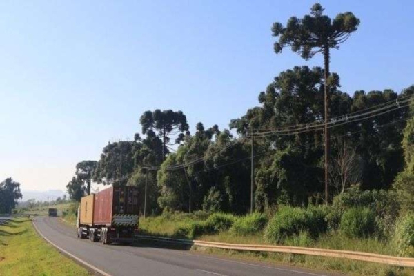 Cobrança de pedágio começa dia 28 nas rodovias da região de Londrina; saiba os valores