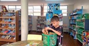 História Encantadora: Menino de 7 Anos Empresta Mais de 300 Livros na Biblioteca Infantil