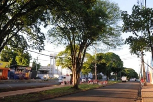 Barraquinhas terão que sair da avenida Rio Branco, em Londrina, para construção de ciclovia