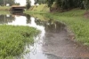 Problema Ambiental: Moradores Insatisfeitos com a Poluição no Lago Igapó