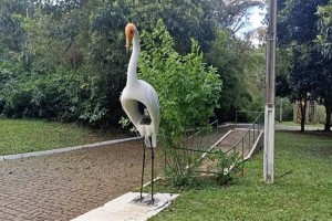 Parque Arthur Thomas inicia escolha do nome de estátua da Garça