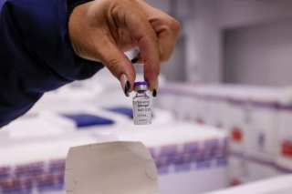 Londrina Ultrapassa Marca de 7,4 Mil Vacinados Contra a Dengue