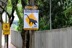 Sema alerta para risco de atropelamentos de animais silvestres no entorno do Parque Arthur Thomas