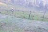 Frio intenso no Paraná, com temperaturas mínimas do ano e geada em várias regiões