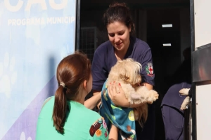 Castramóvel de Londrina alcança quase 30 mil cães e gatos atendidos