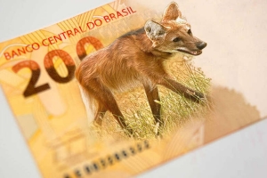 Cédula de R$ 200 entra em circulação hoje