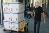 Com 332 mil doses, Paraná inicia preparativos para campanha de vacinação contra a gripe