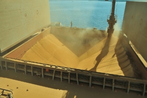 Exportações de soja pelos portos do Paraná crescem 59% no 1º semestre