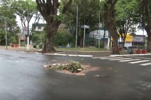 Tampa de galeria pluvial é furtada na região central de Londrina