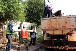 Londrina terá mutirão contra dengue na região norte neste sábado