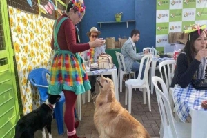 Festa junina para pets em Londrina inclui desfile, concurso e petisco na programação