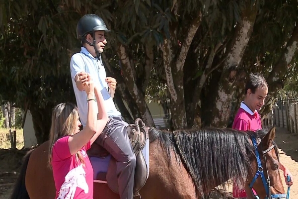 Terapia com cavalos revoluciona tratamento de crianças carentes e com deficiência