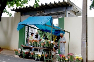 CMTU abre cadastramento para venda em cemitérios no Dia de Finados