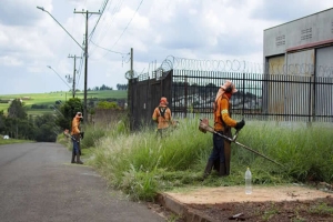 Início da Fiscalização: Terrenos com Vegetação Alta em Londrina serão Monitorados a partir desta Quinta-feira