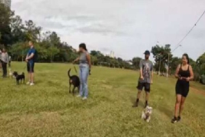 Tutores de Londrina Aprendem Educação Canina em Cursos Gratuitos