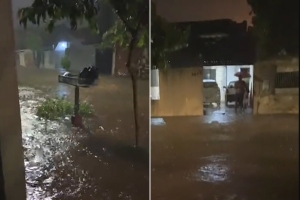 Chuva causa alagamentos e queda de árvores em bairros de Londrina