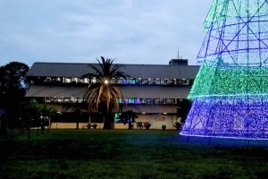 Veja como ficam os serviços municipais em Londrina durante o Natal