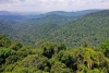 Dia da Amazônia: conheça o potencial e os perigos que envolvem a maior floresta tropical do mundo