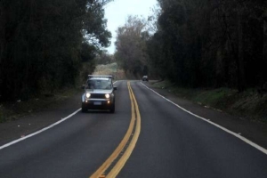 Consórcio consegue a licitação para as obras da PR-445 de Mauá da Serra a Lerroville