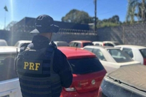 Polícia Rodoviária Federal organiza leilão virtual de veículos para os próximos dias