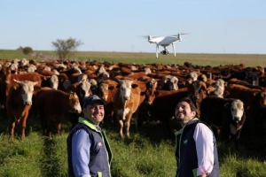 Regulamentação de drones em atividades agropecuárias é colocada em consulta pública